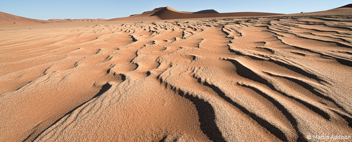 04Martin Addison.jpg